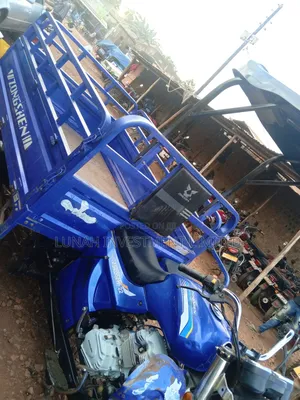 Tricycle 2025 Blue