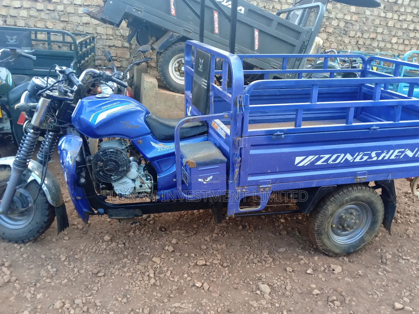 Tricycle 2025 Blue