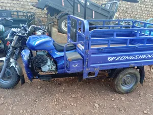 Tricycle 2025 Blue