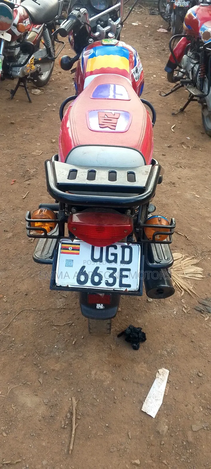 Bajaj Boxer 125 2024 Red
