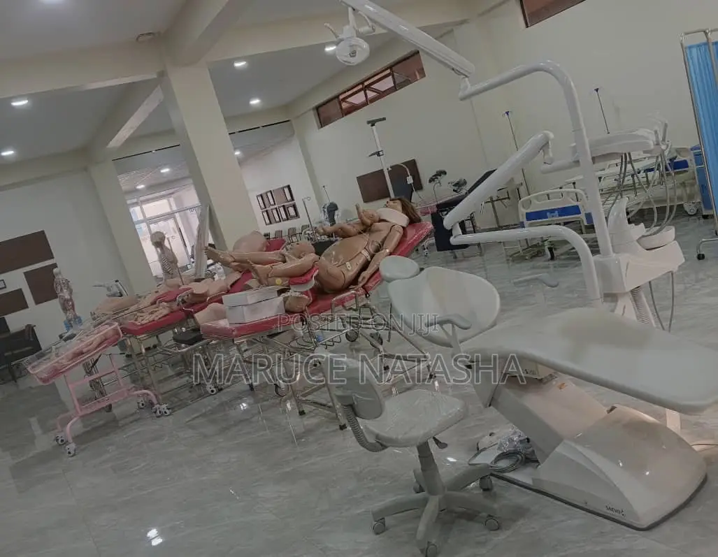 Brazilian Simple High Quality Dental Chair