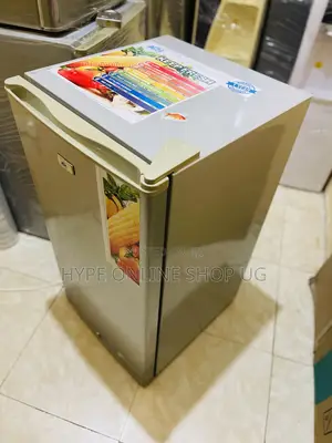 Silver Color 120l Home Fridge Imported Used