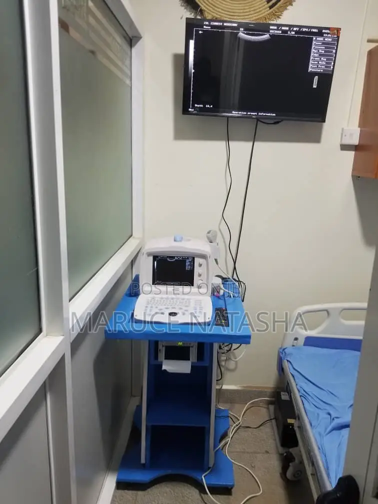 A Set of a Mindray Ultrasound Scan Machine With a Screen
