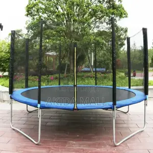 10ft Round Trampoline With a Safety Enclosure Net and a Ladder