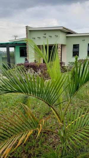 4bdrm Bungalow in Fs Properties Ltd, Katabi for rent