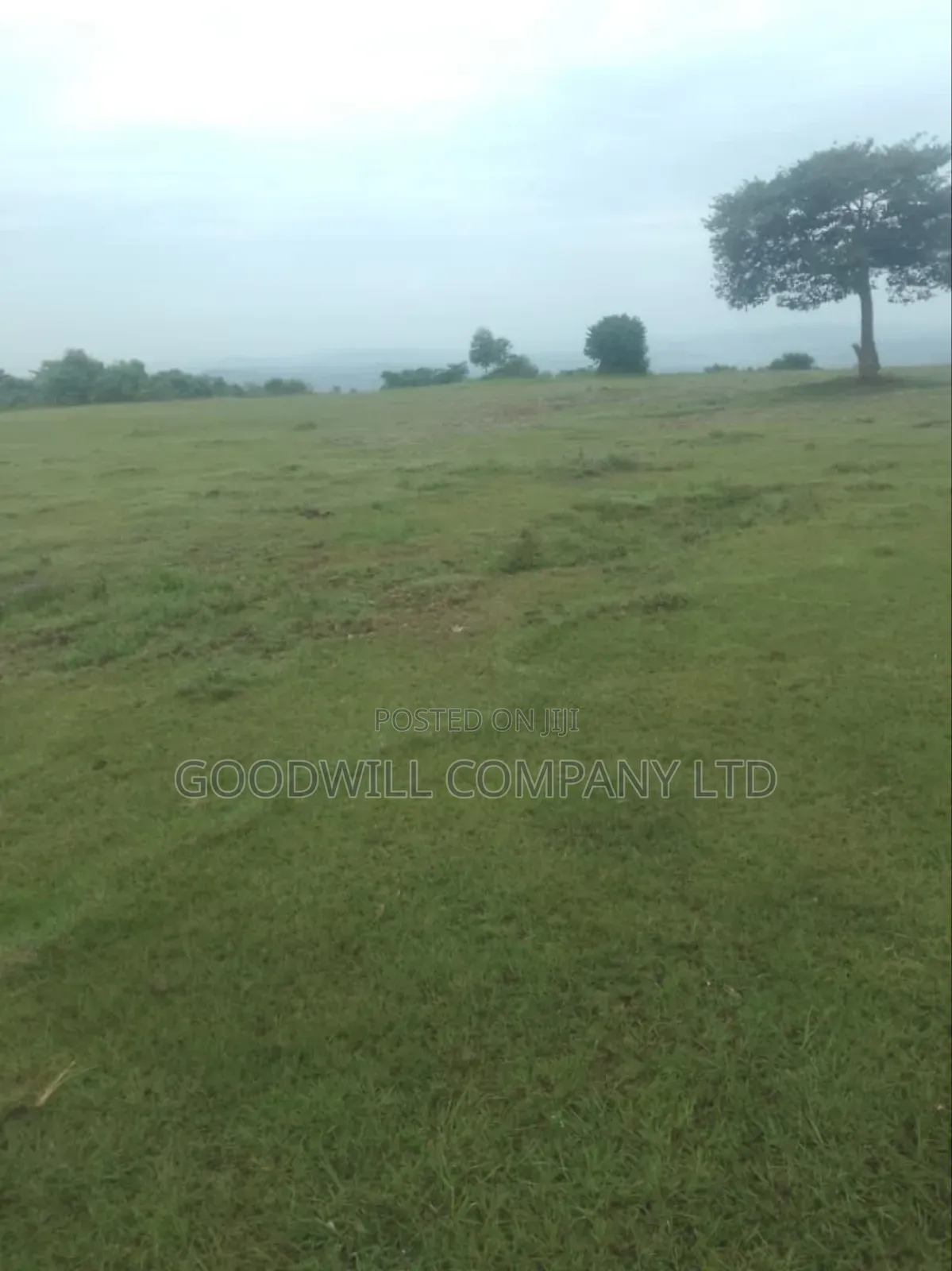 1 Acre of Land in Kigenda Nkokonjeru