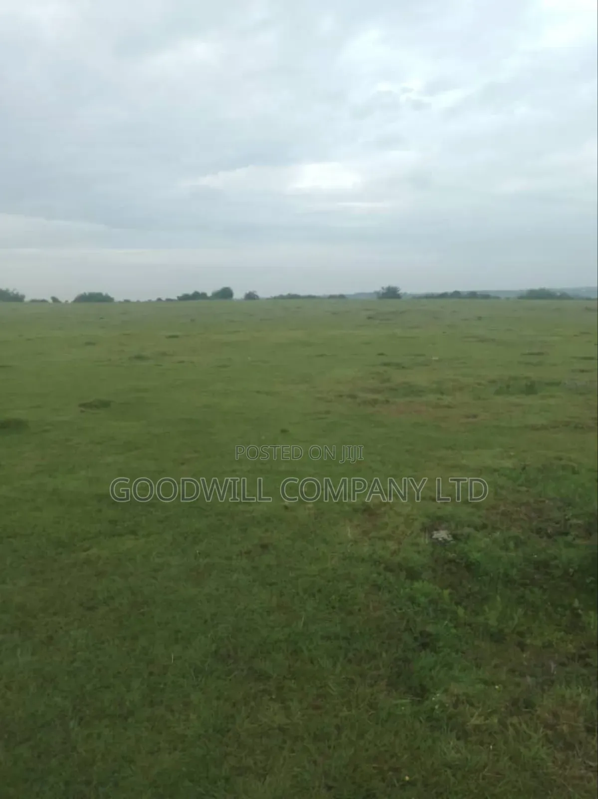 1 Acre of Land in Kigenda Nkokonjeru