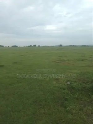 1 Acre of Land in Kigenda Nkokonjeru