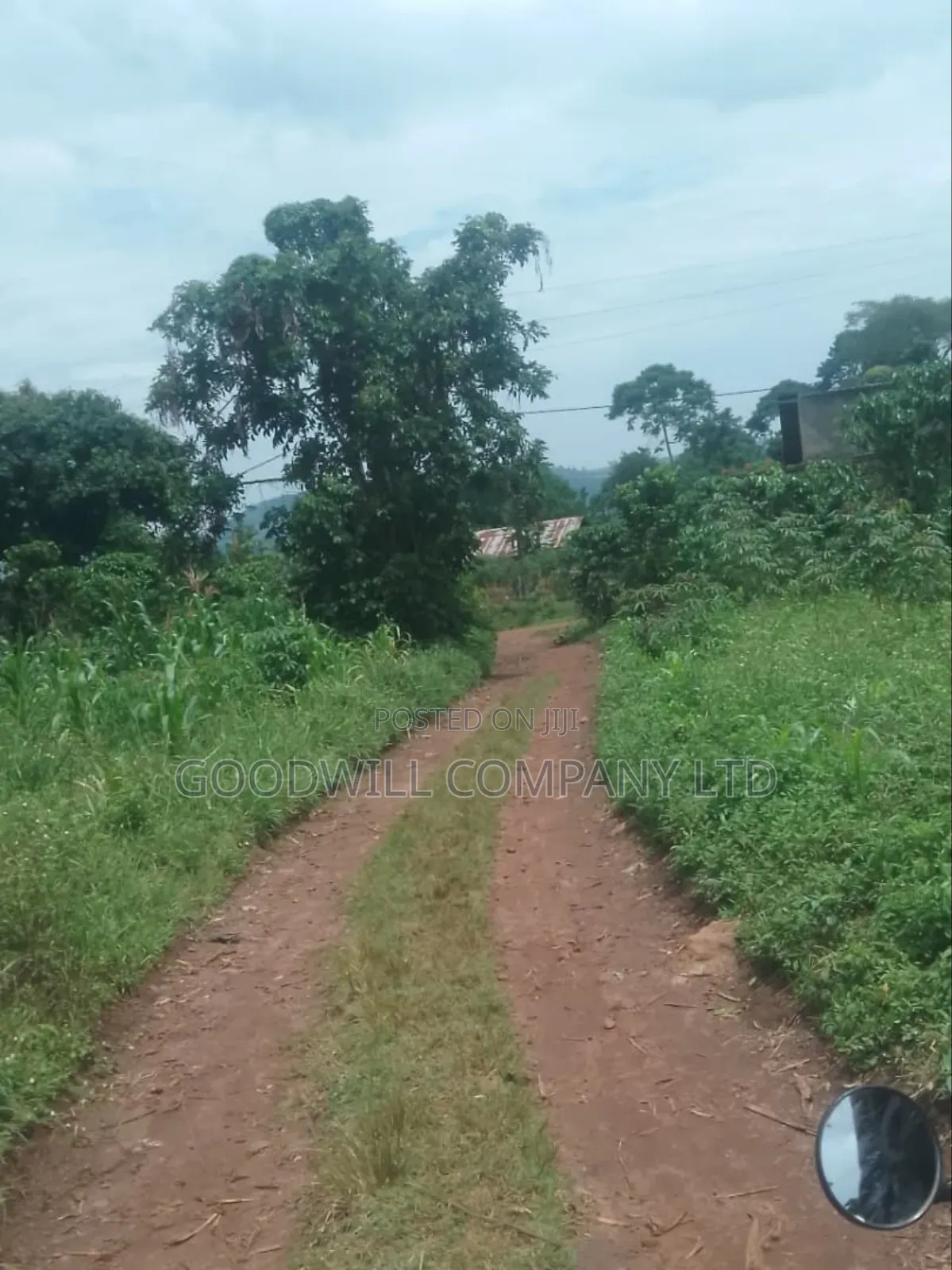 1 Acre of Land in Kigenda Nkokonjeru