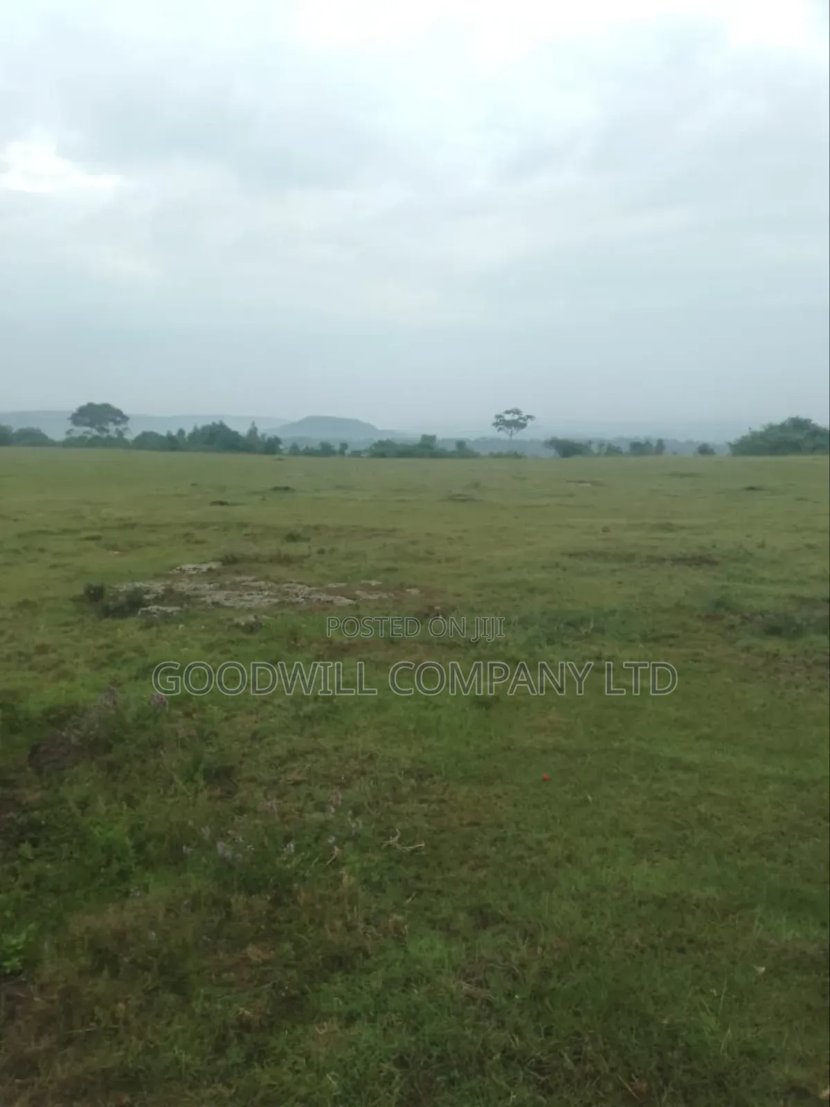 1 Acre of Land in Kigenda Nkokonjeru