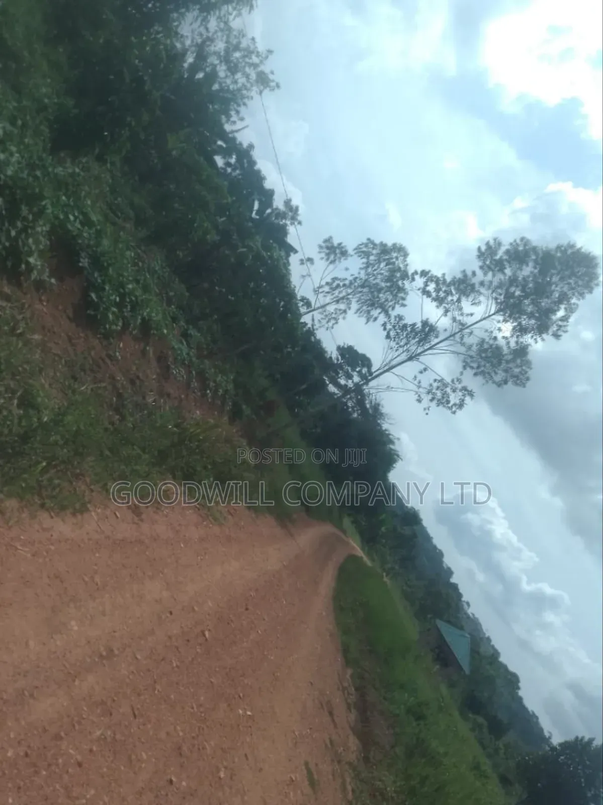 1 Acre of Land in Kigenda Nkokonjeru