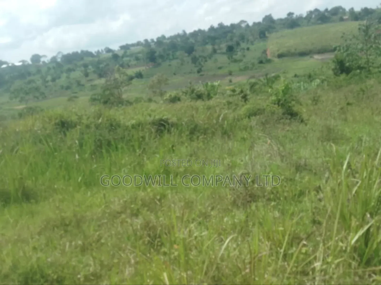 1 Acre of Land in Kigenda Nkokonjeru