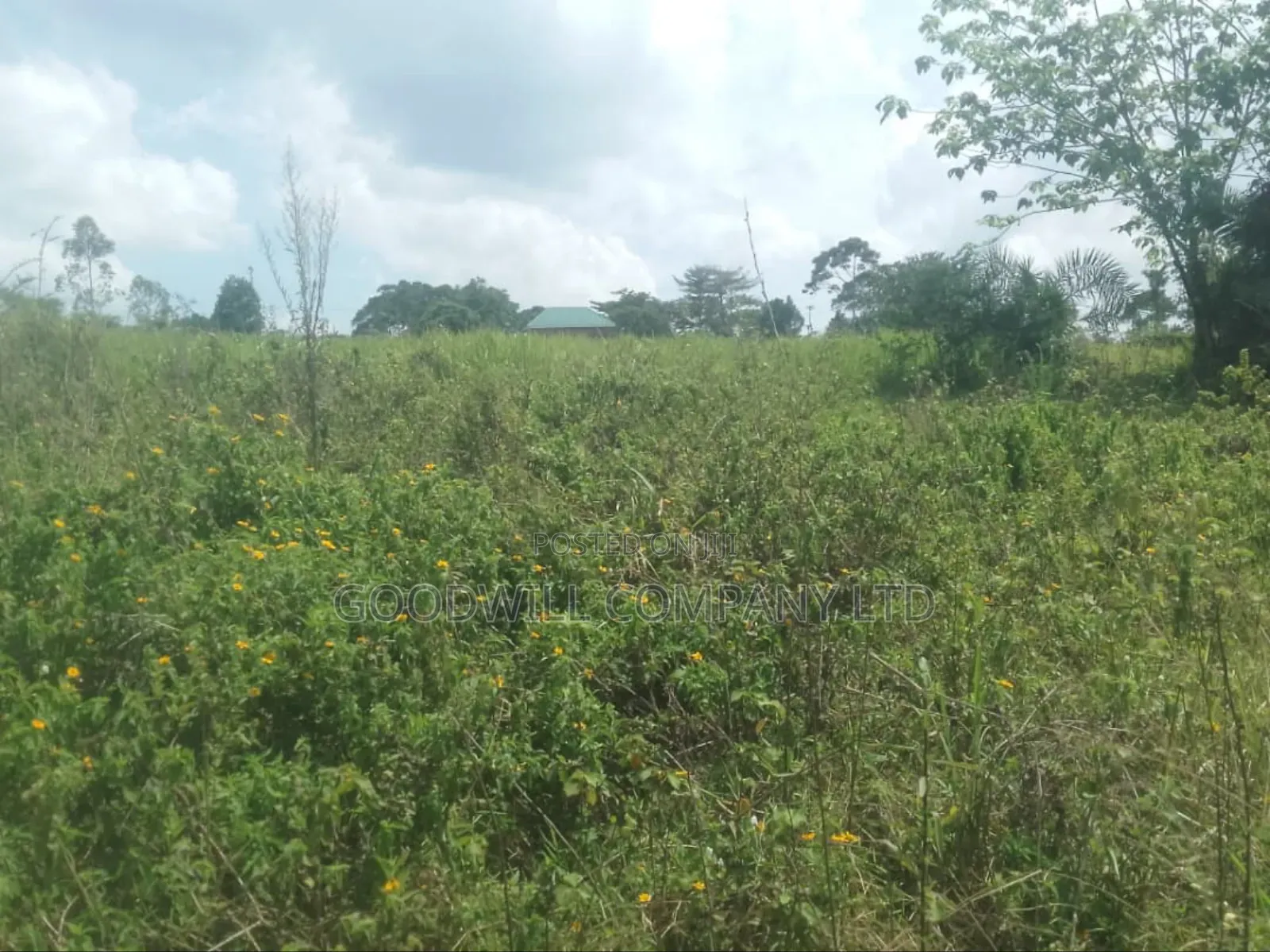 1 Acre of Land in Kigenda Nkokonjeru