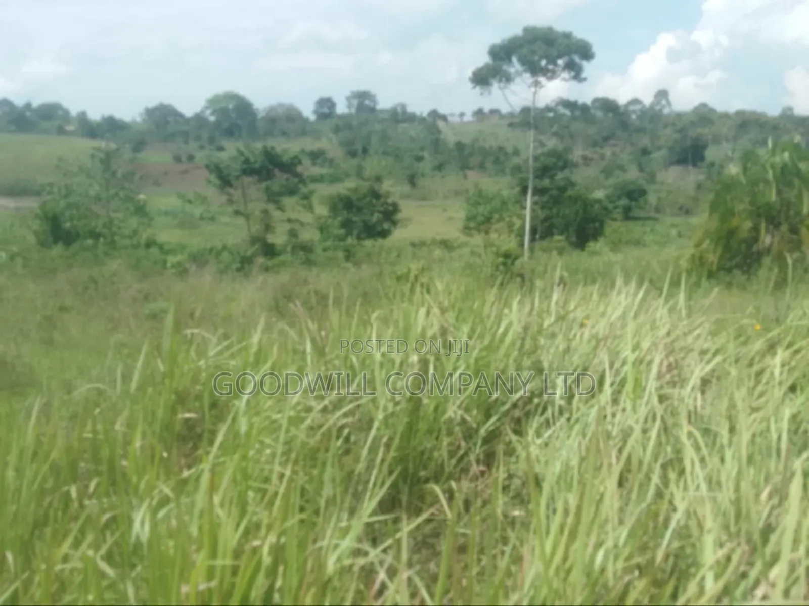 1 Acre of Land in Kigenda Nkokonjeru