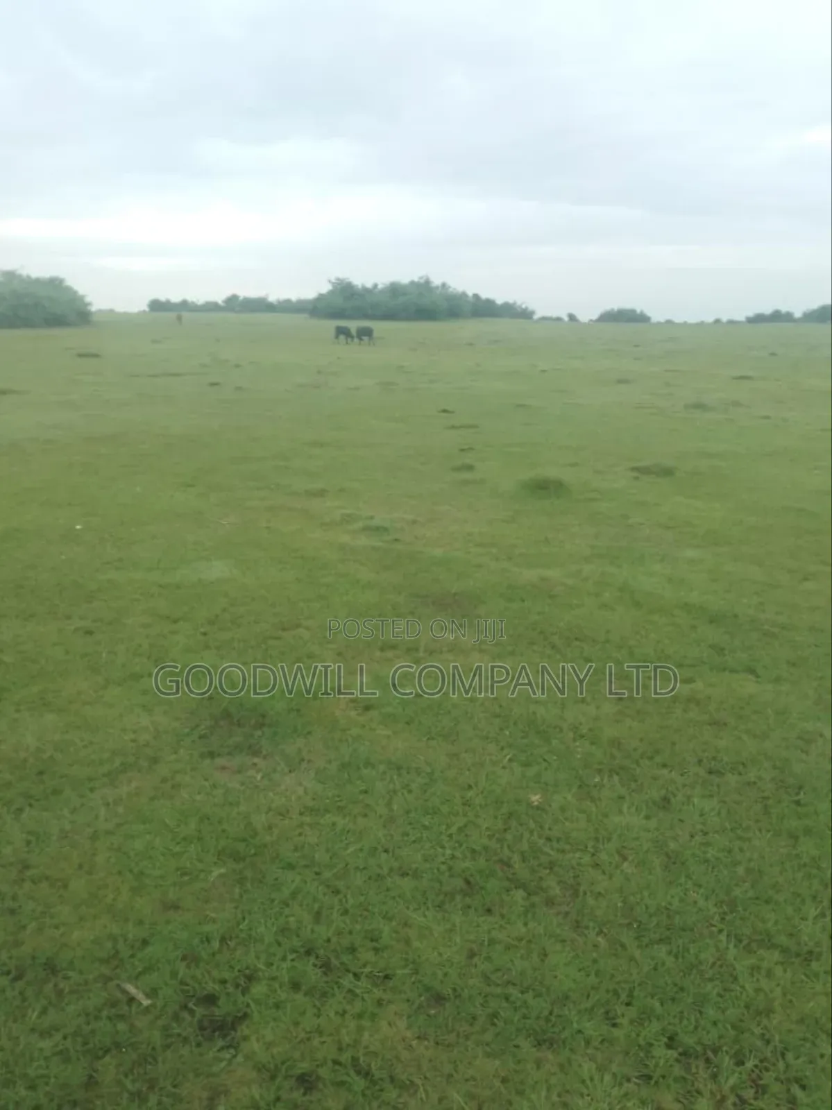 7 Acres Lugasa Nkokonjeru Along Nyenga Jinja Express Highway