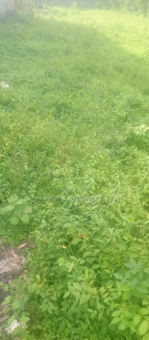 7 Acres Lugasa Nkokonjeru Along Nyenga Jinja Express Highway