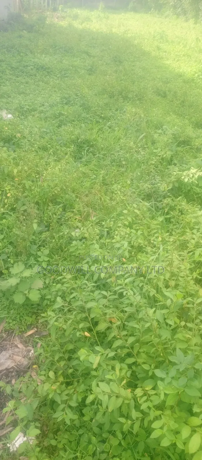 7 Acres Lugasa Nkokonjeru Along Nyenga Jinja Express Highway