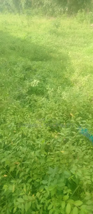 7 Acres Lugasa Nkokonjeru Along Nyenga Jinja Express Highway