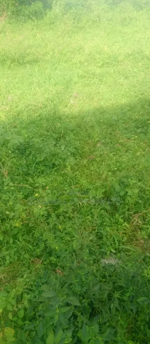 7 Acres Lugasa Nkokonjeru Along Nyenga Jinja Express Highway