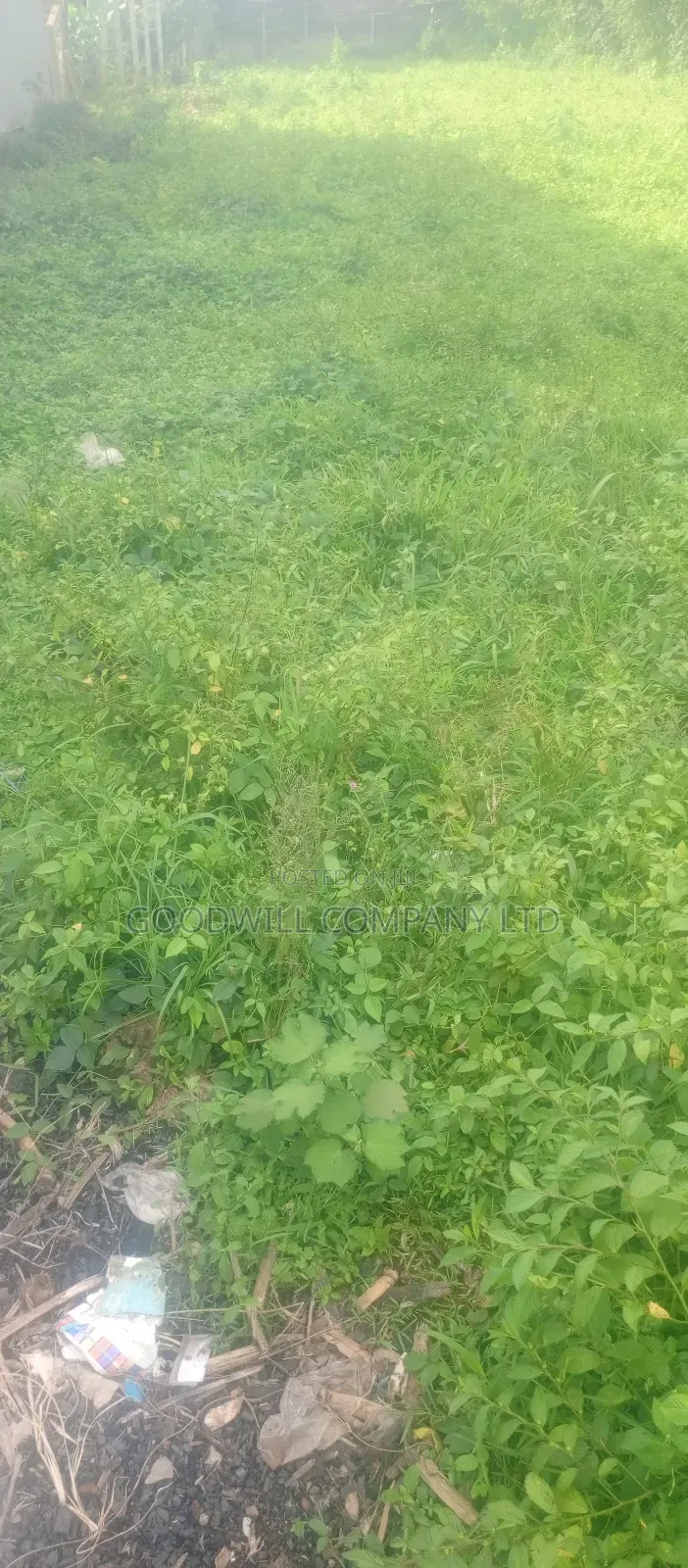 7 Acres Lugasa Nkokonjeru Along Nyenga Jinja Express Highway