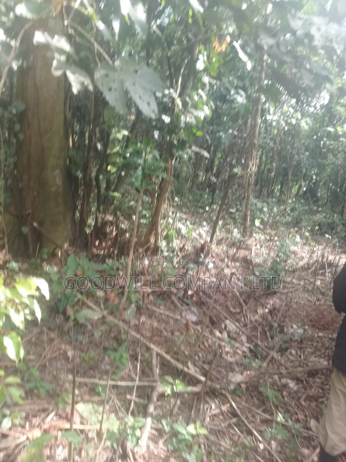 30acres of Land in Nangunga Nkokonjeru Mukono-Katosi-Rd