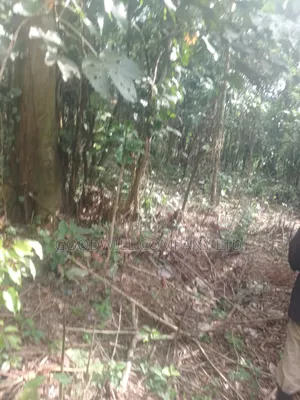 30acres of Land in Nangunga Nkokonjeru Mukono-Katosi-Rd