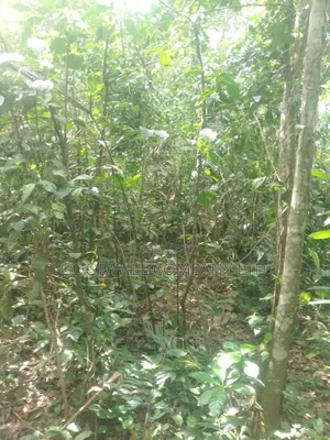 30acres of Land in Nangunga Nkokonjeru Mukono-Katosi-Rd