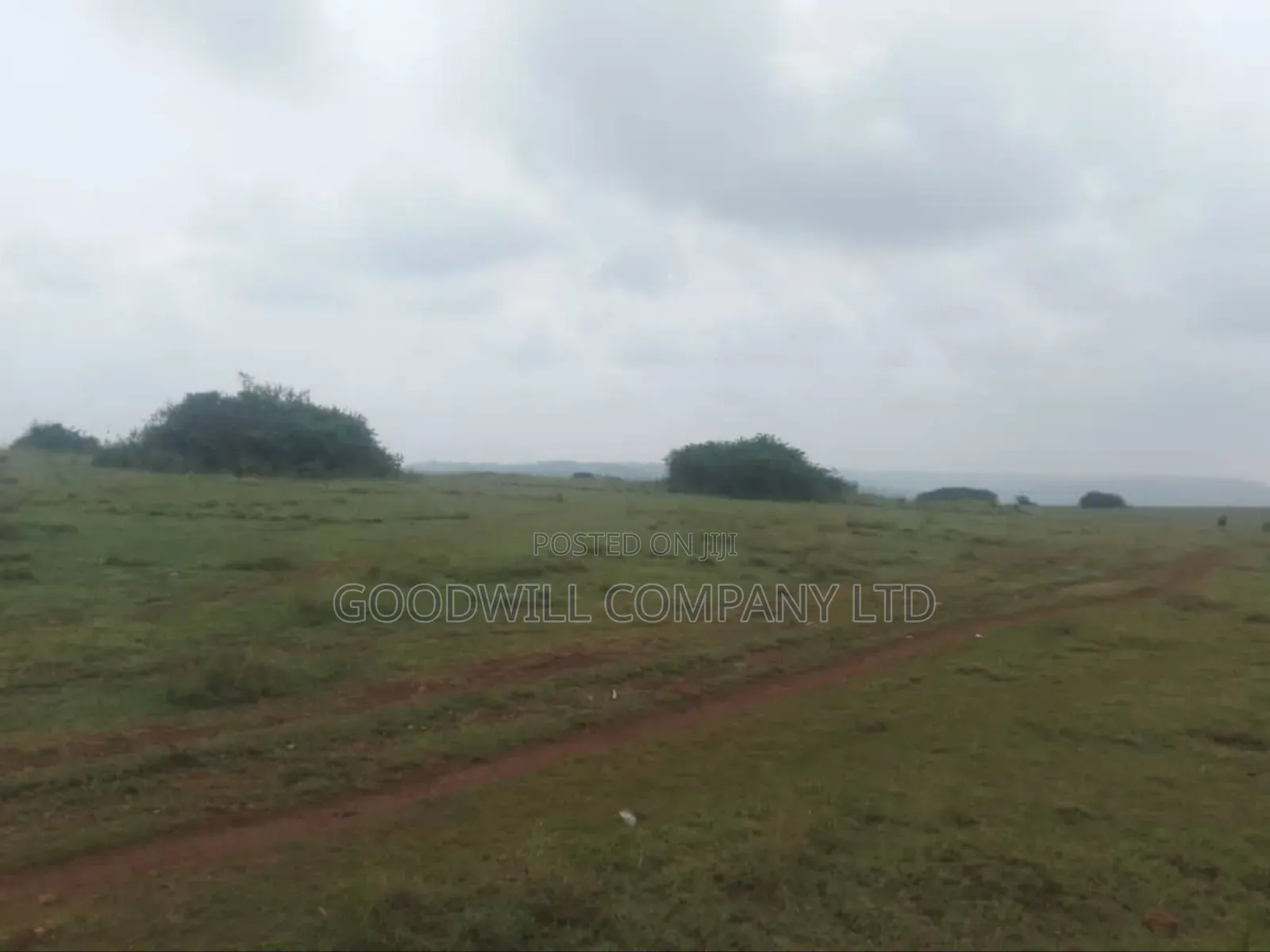 62 Acres of Land in Kasenyi-Ngoma- Ntungamo District