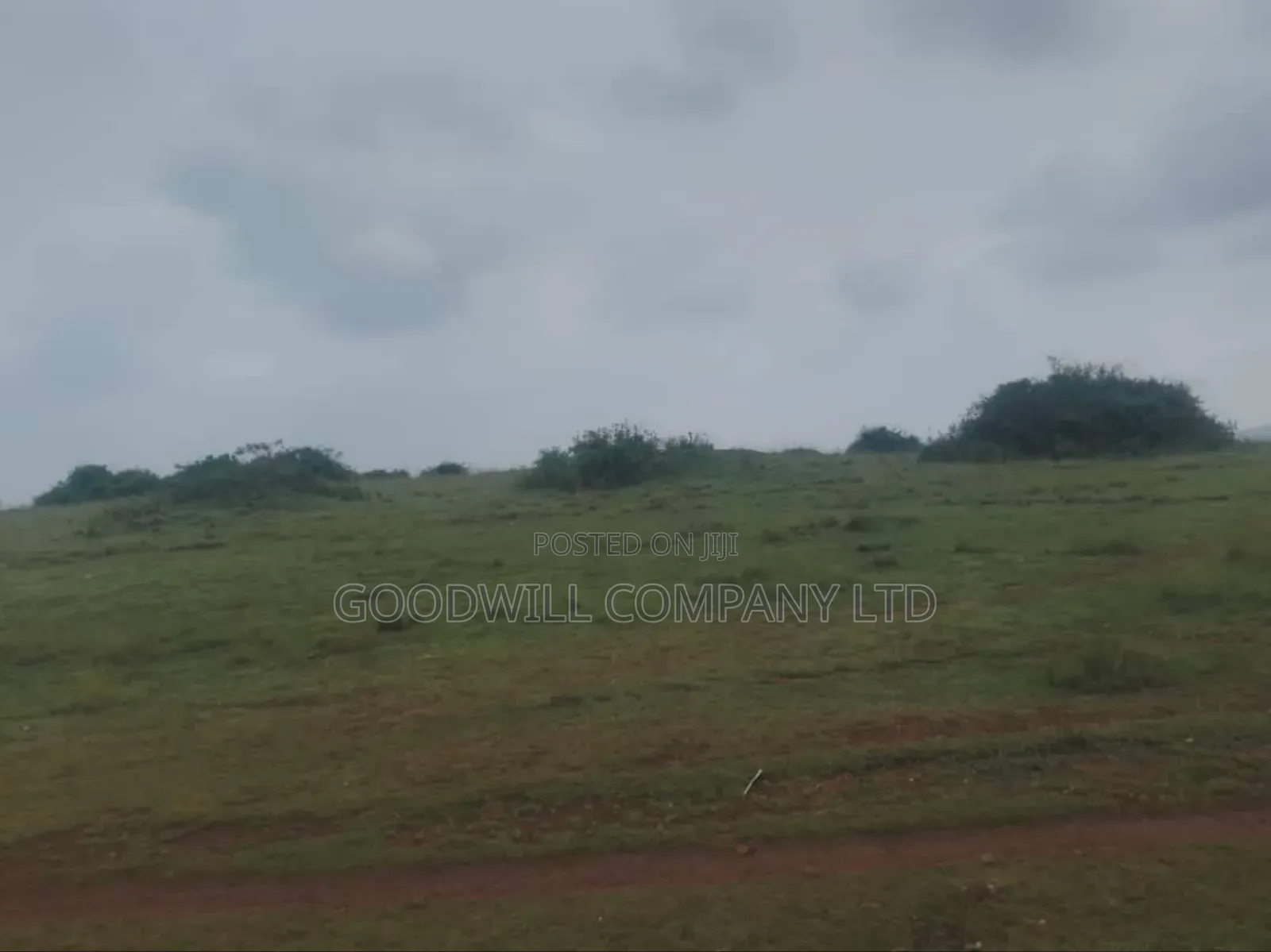 62 Acres of Land in Kasenyi-Ngoma- Ntungamo District