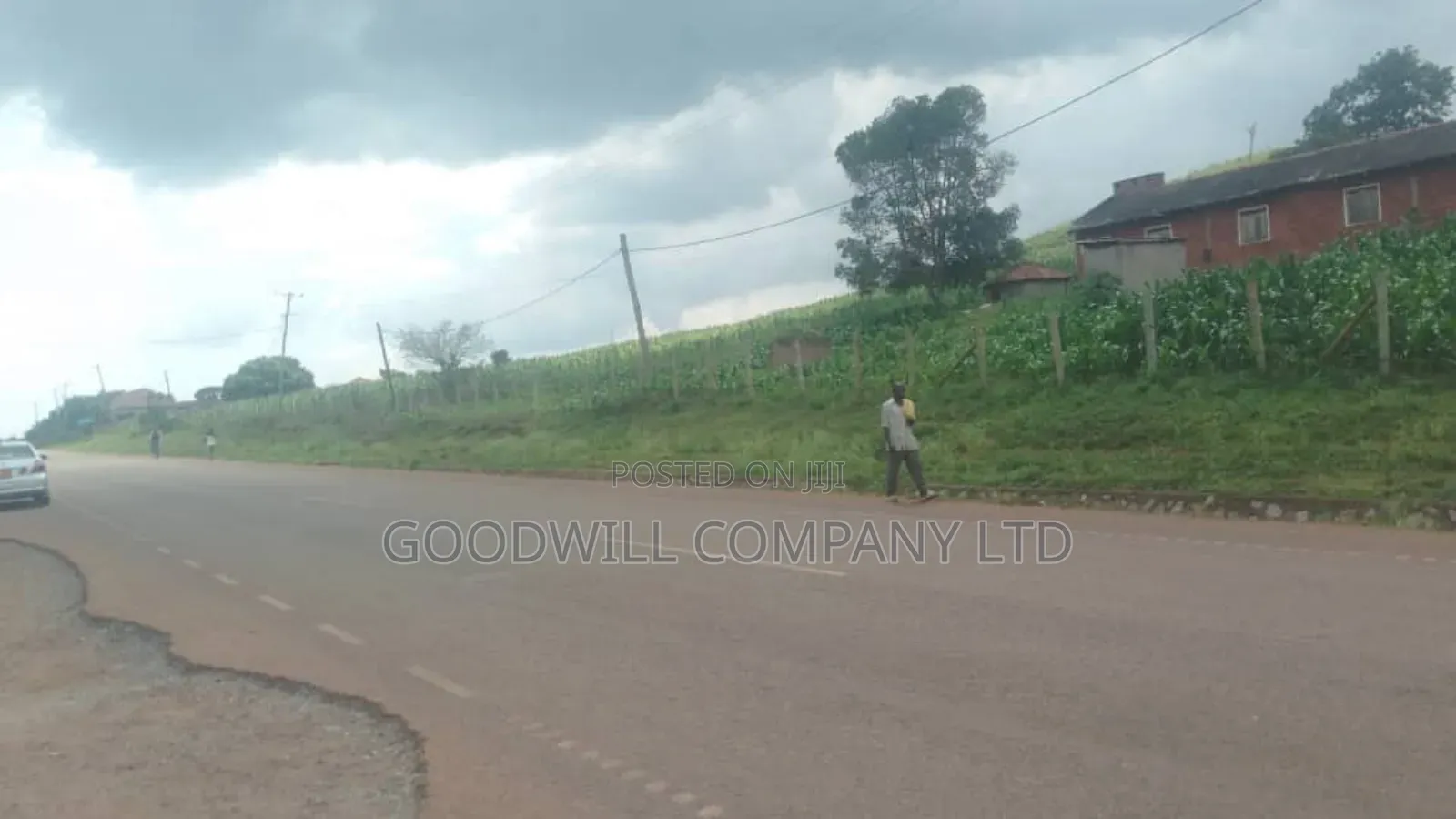 62 Acres of Land in Kasenyi-Ngoma- Ntungamo District
