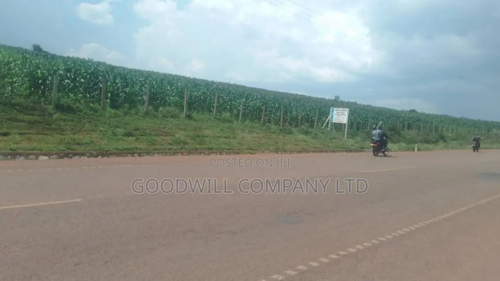 62 Acres of Land in Kasenyi-Ngoma- Ntungamo District