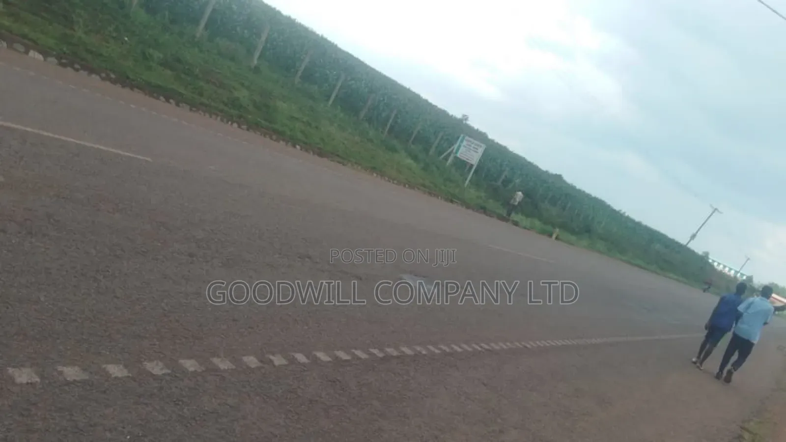 62 Acres of Land in Kasenyi-Ngoma- Ntungamo District