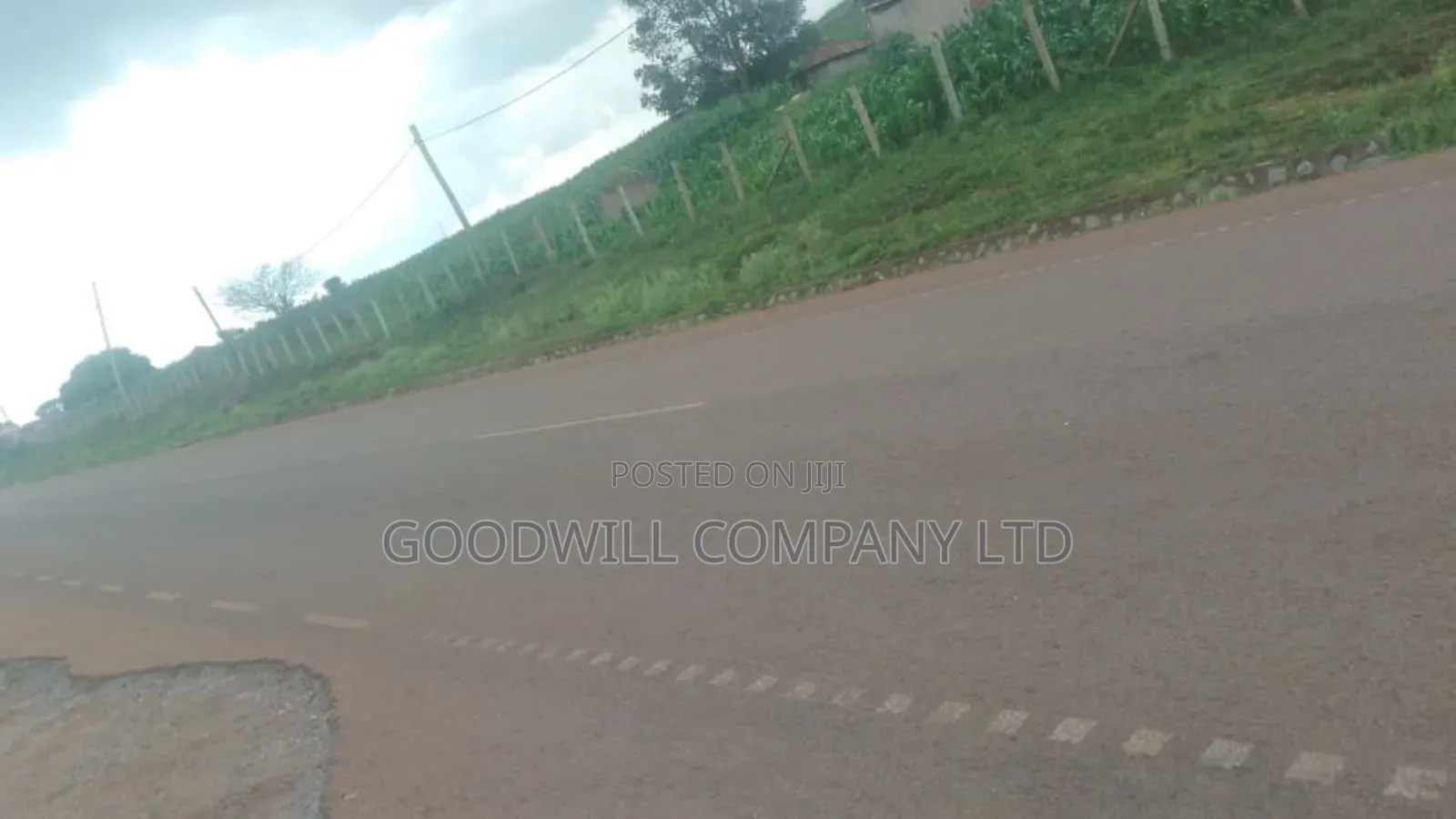 62 Acres of Land in Kasenyi-Ngoma- Ntungamo District