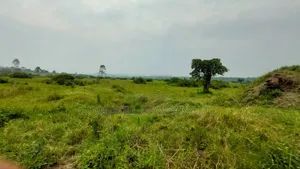 50 Acres of Private Mailo Land in Gomba