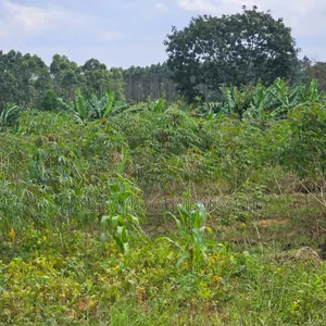 Mityana–Mubende Road: 10 Acres of Land for Sale in Kasanda