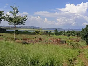 50 Acres of Land in Bwerenga Kawuku Entebbe Rd Touching on Lake Shore