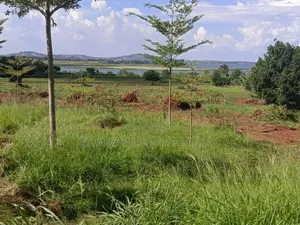 50 Acres of Land in Bwerenga Kawuku Entebbe Rd Touching on Lake Shore