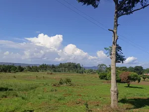 50 Acres of Land in Bwerenga Kawuku Entebbe Rd Touching on Lake Shore