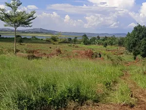 50 Acres of Land in Bwerenga Kawuku Entebbe Rd Touching on Lake Shore