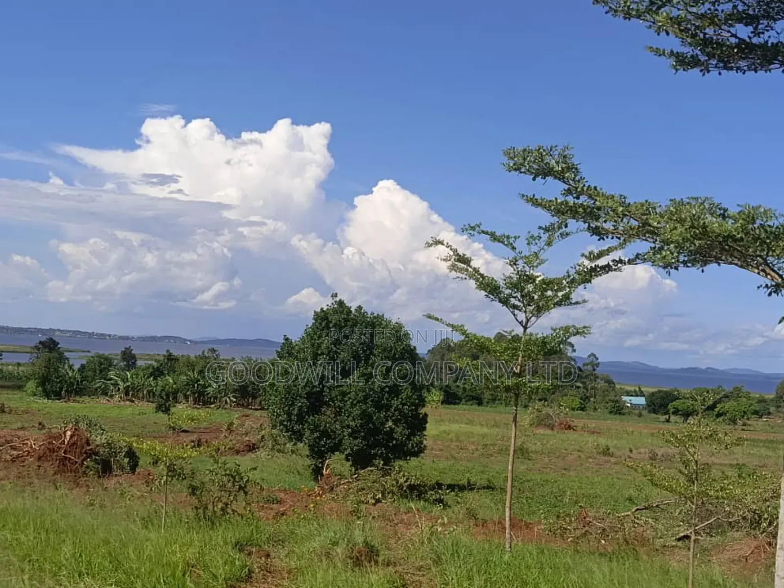 50 Acres of Land in Bwerenga Kawuku Entebbe Rd Touching on Lake Shore