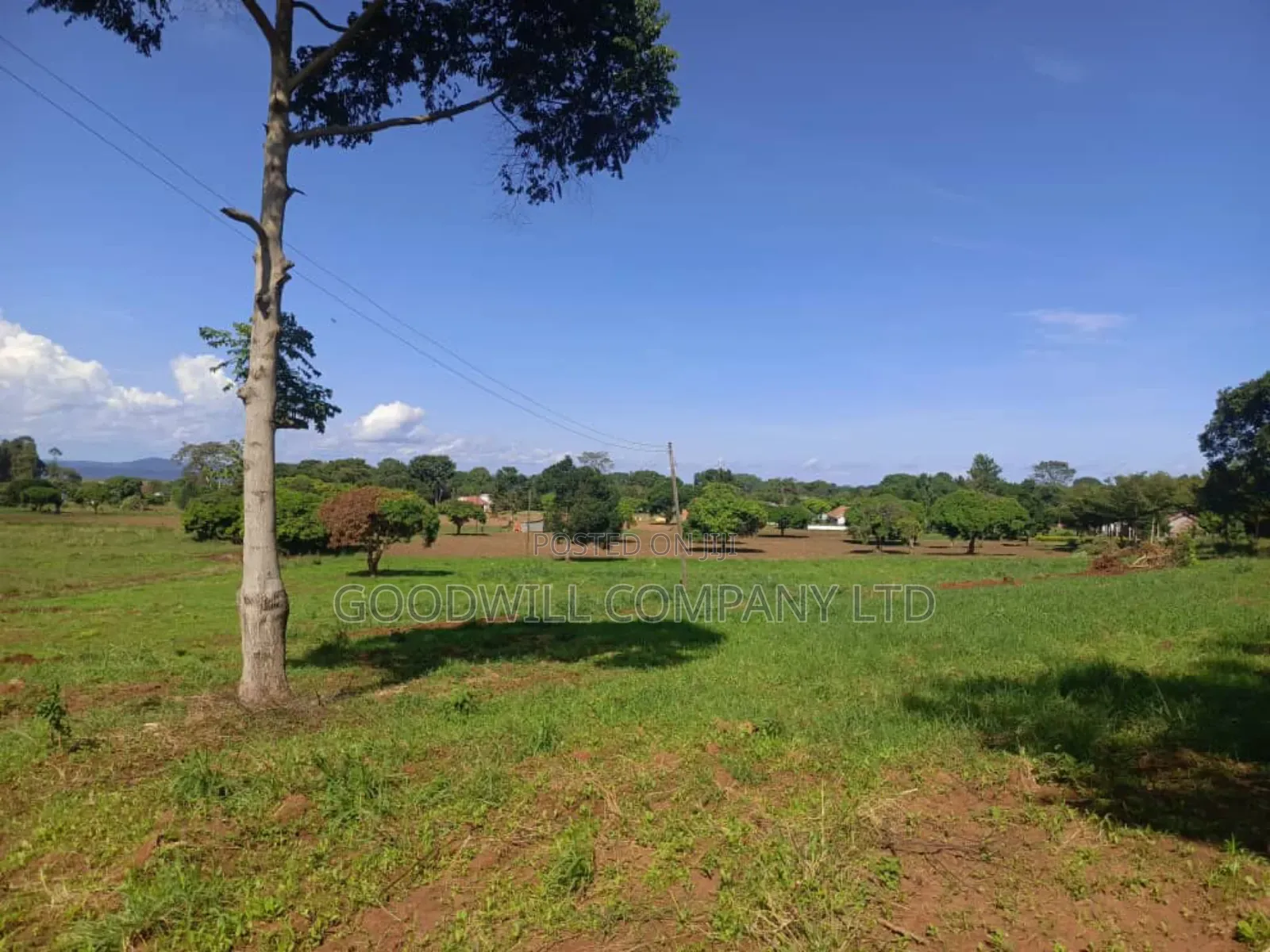 50 Acres of Land in Bwerenga Kawuku Entebbe Rd Touching on Lake Shore