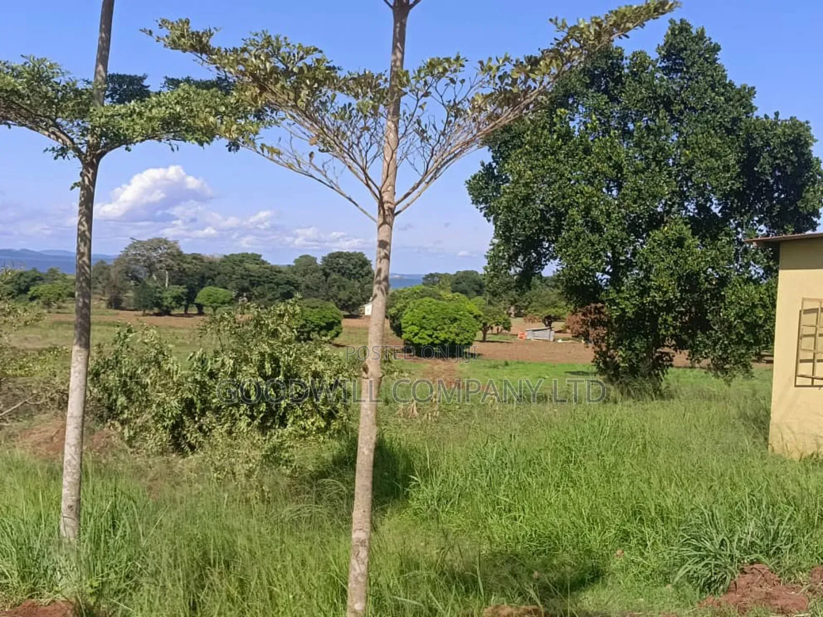 50 Acres of Land in Bwerenga Kawuku Entebbe Rd Touching on Lake Shore