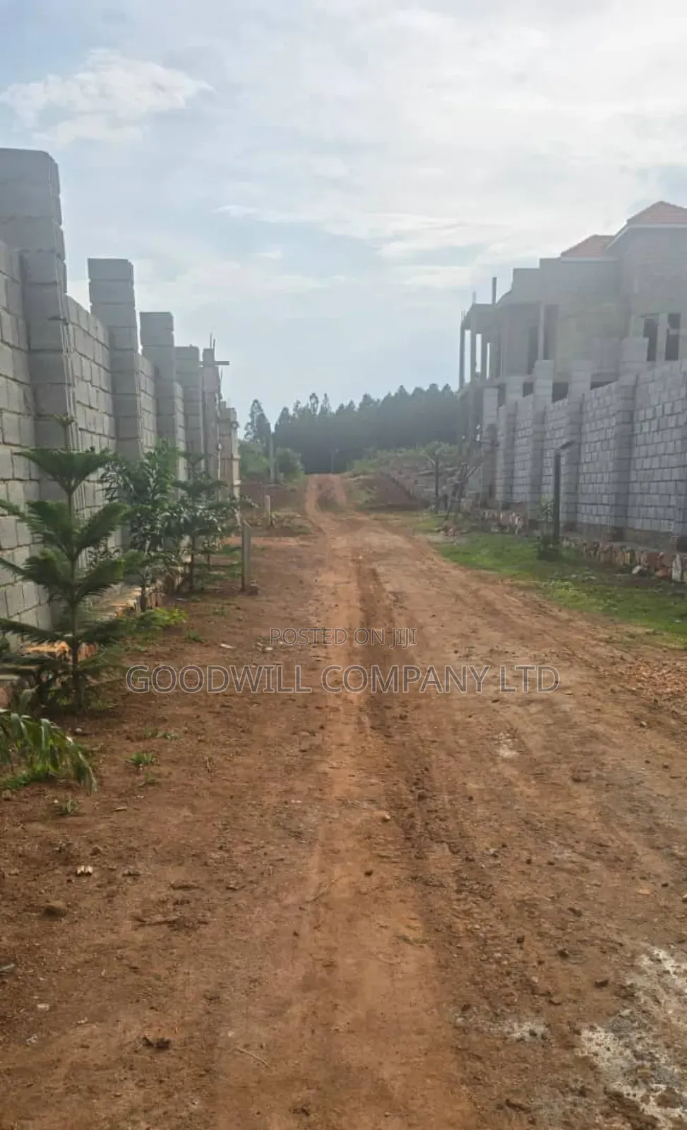 Lakeview Entebbe Road Kawuku Bujiri 3 Plots for Sale (50×100ft)