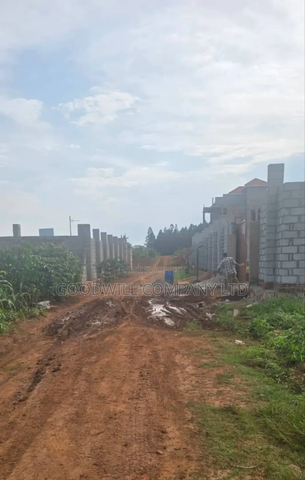 Lakeview Entebbe Road Kawuku Bujiri 3 Plots for Sale (50×100ft)