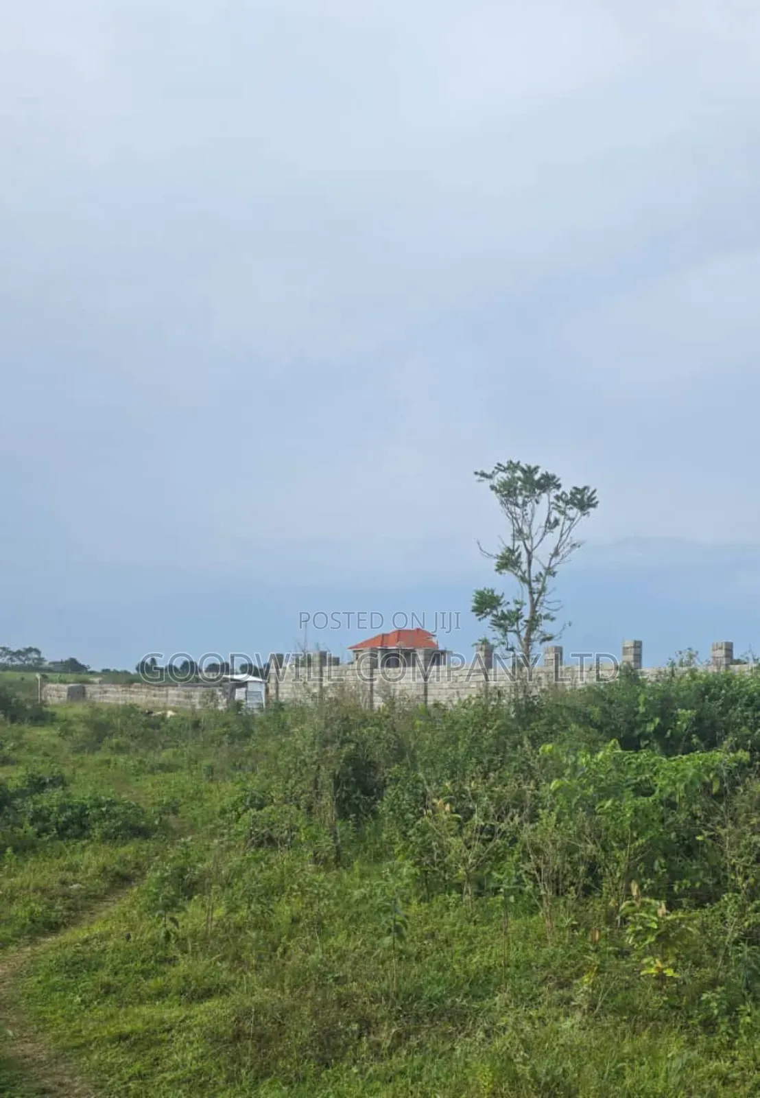 Lakeview Entebbe Road Kawuku Bujiri 3 Plots for Sale (50×100ft)