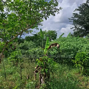 30 Acres of Land in Masaka Kinono for Sale, 12km Off Kinoni