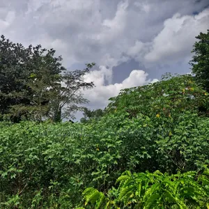 30 Acres of Land in Masaka Kinono for Sale, 12km Off Kinoni