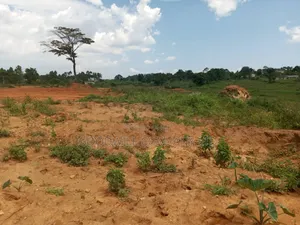 32 Acres of Land in Namanve Bweyogerere for Sale