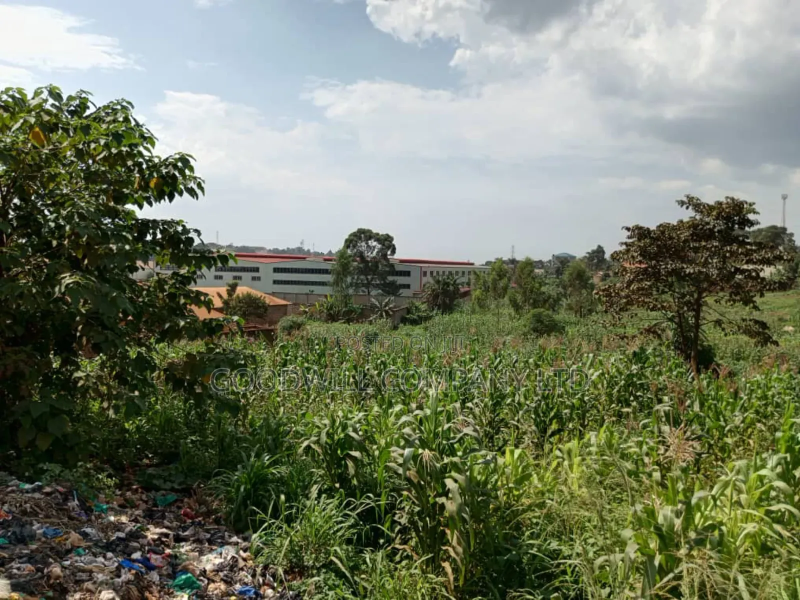 5.2 Acres of Land in Namanve 200 Meters Off Tarmac Road