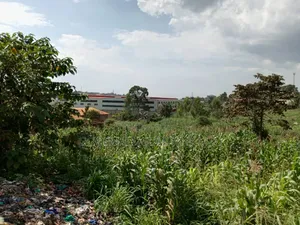 5.2 Acres of Land in Namanve 200 Meters Off Tarmac Road